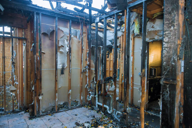 Professional Fire Damage Removal technician working in LaGrange, OH